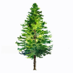 手绘树木素材树木背景元素