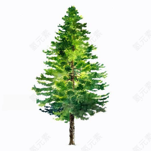 手绘树木素材树木背景元素