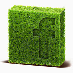 Facebook草草地社会图标