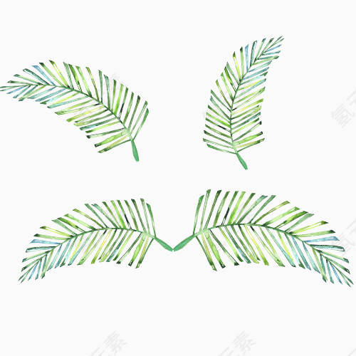 手绘树叶枝条元素