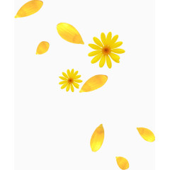黄色菊花漂浮
