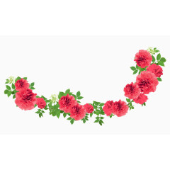 清新红色鲜花花卉植物