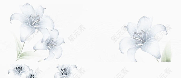淡雅小花对话