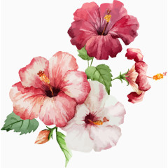 卡通手绘花朵鲜花喇叭花