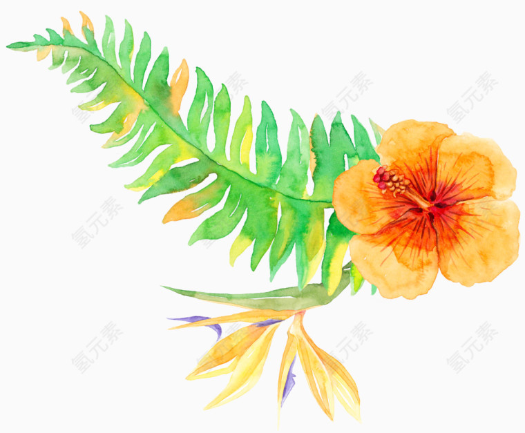 热带植物
