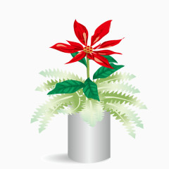 红色花朵装饰盆栽