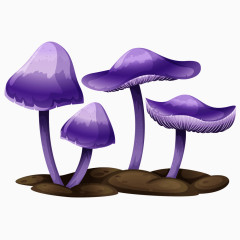 卡通精美蘑菇素材