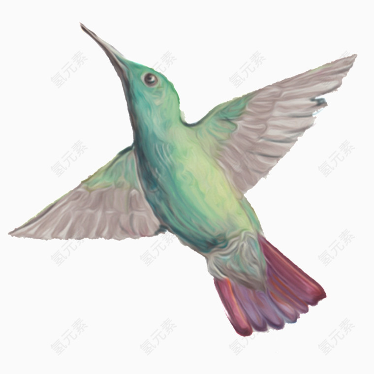 小鸟