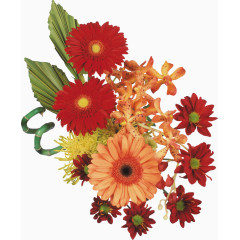 抽象花朵图片鲜花背景素材 花朵