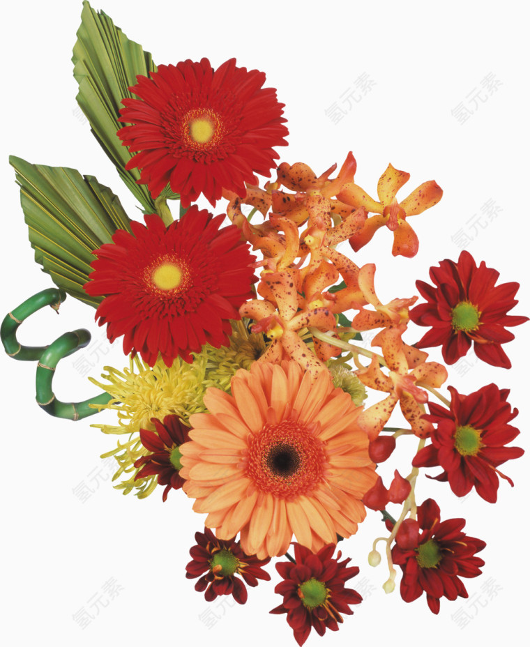 抽象花朵图片鲜花背景素材 花朵