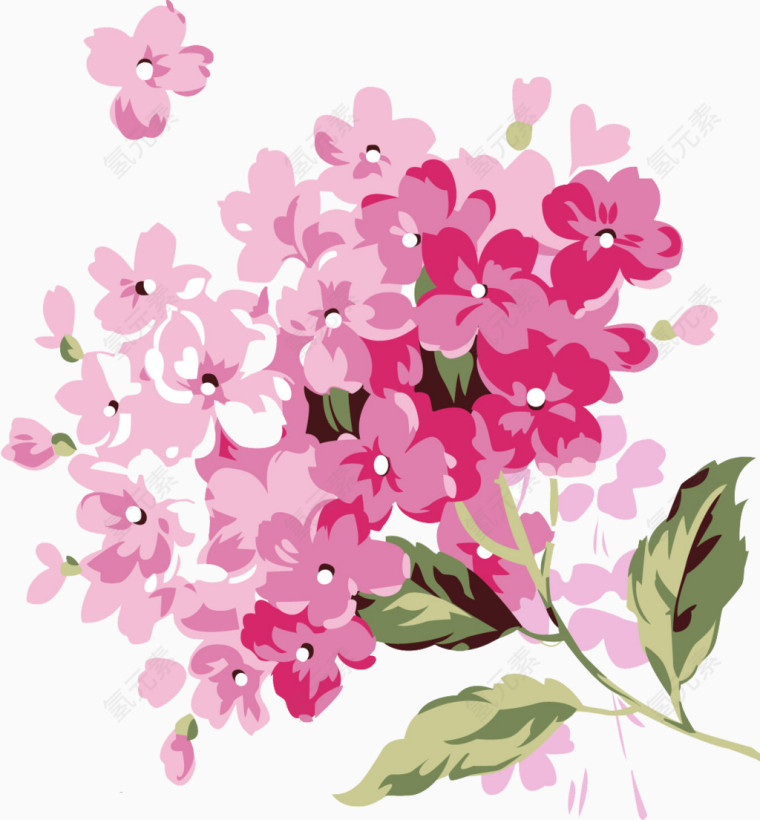 手绘鲜花