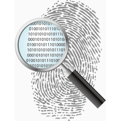 放大镜看到的指纹代码