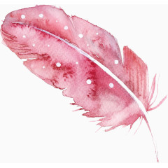 卡通手绘羽毛