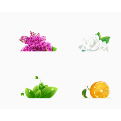 橘子的好友图片素材