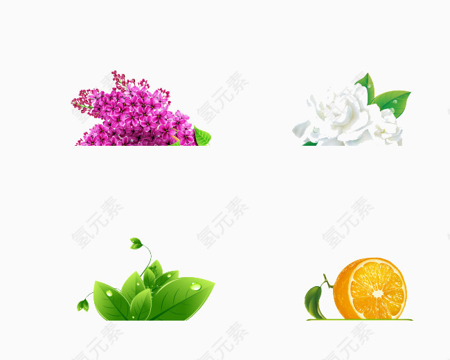 橘子的好友图片素材