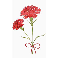 手绘红色康乃馨