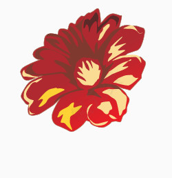 花束图片背景素材