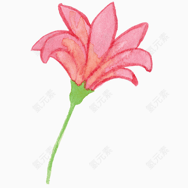 手绘水彩花卉花朵图片