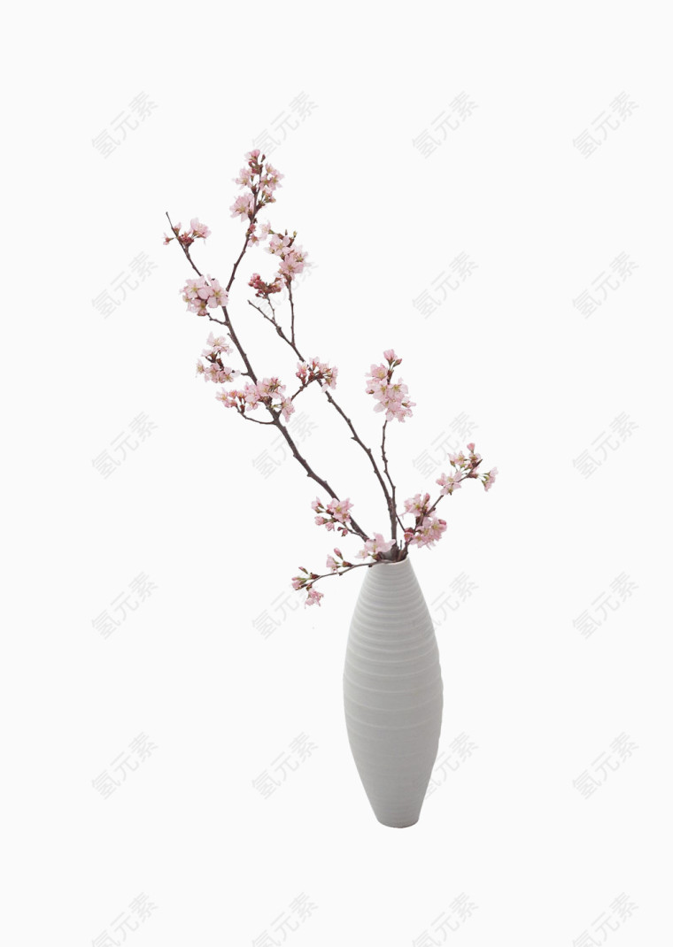 一枝樱花插在花瓶里