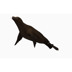 卡通鱼海底生物