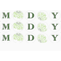 MDY绿色图