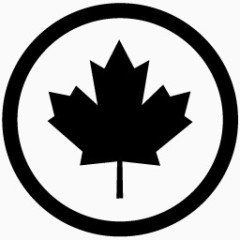 加拿大国旗地铁车站的黑色图标
