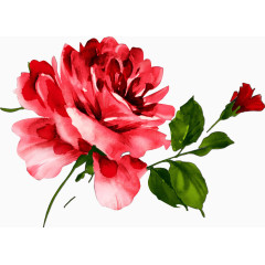 画花