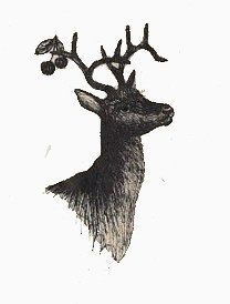 黑白鹿