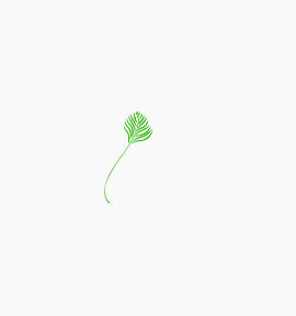 绿色文艺小草