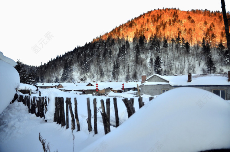 山林深处的雪景