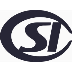 SI服务
