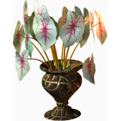 手绘装饰素材花卉矢量图素材