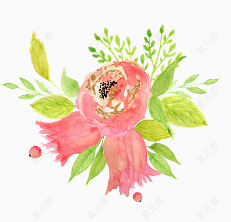 植物水彩画