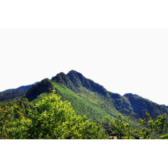 重庆永川茶山竹海风景