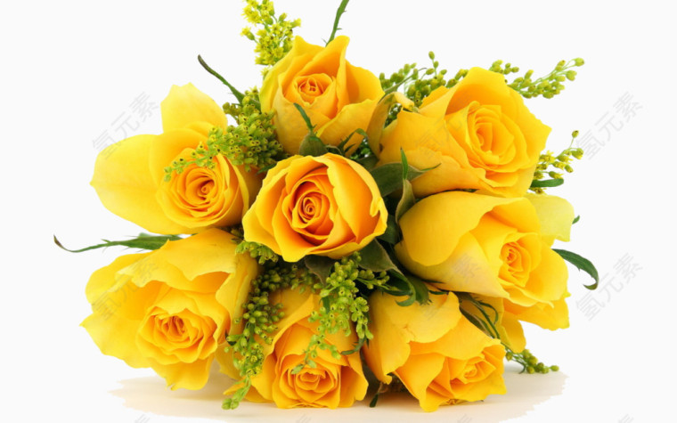 手绘鲜花黄色玫瑰