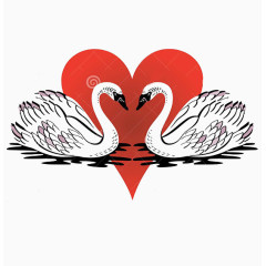 红心相爱天鹅