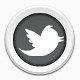 twitter小鸟标志图标