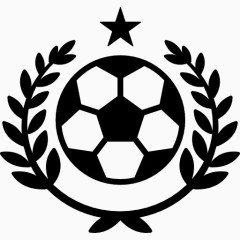 胜利足球的象征图标