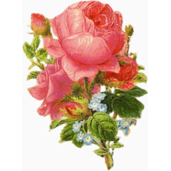 手绘花饰图片素描