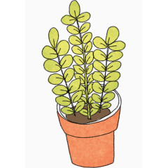 手绘创意黄色的花卉植物