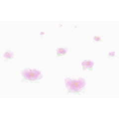 漂浮模糊花瓣