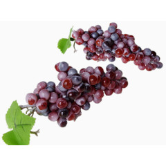 花草设计素材庆典花卉