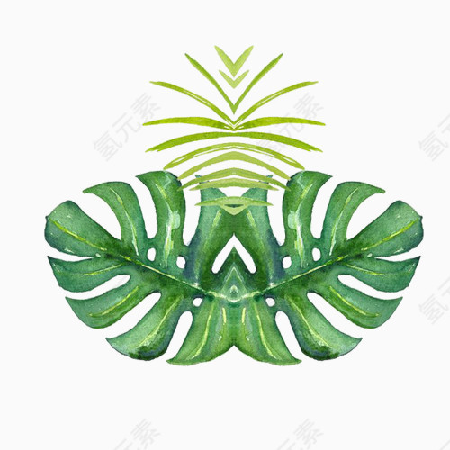 手绘插画树叶元素