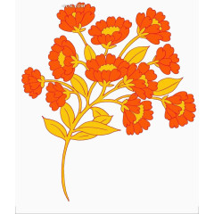 鲜艳的橙色花团