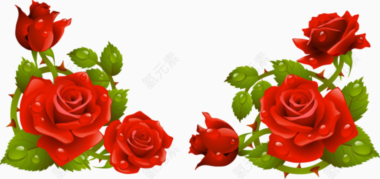 玫瑰花手绘