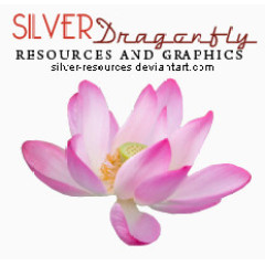 抽象鲜花图片素材鲜花图片