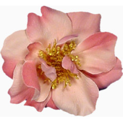 手绘鲜花图片抽象花朵素材