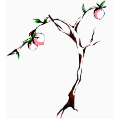 手绘桃树
