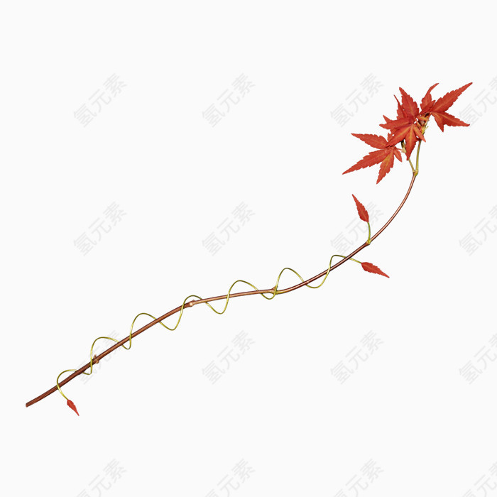 植物绿叶PNG免抠图素材