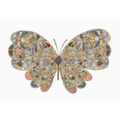 色彩斑斓的蝴蝶